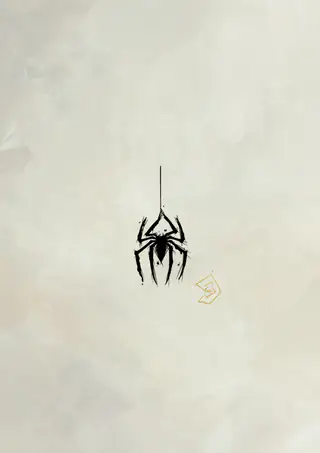 Flash tattoo Spider